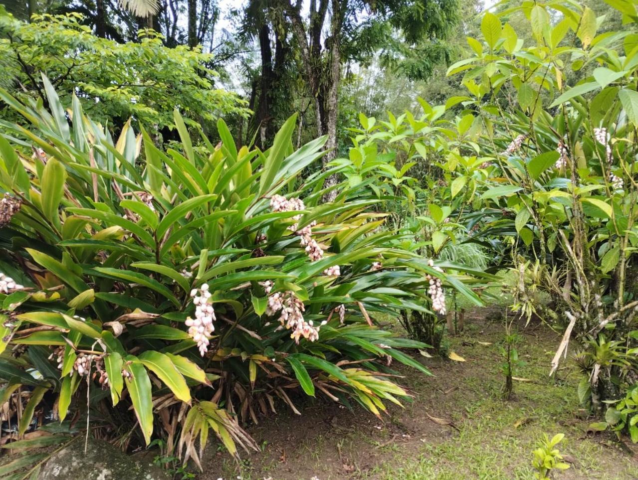 Pousada Morretes Arraial Bagian luar foto